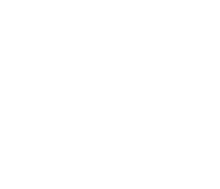 Bridge Rehab and Performance